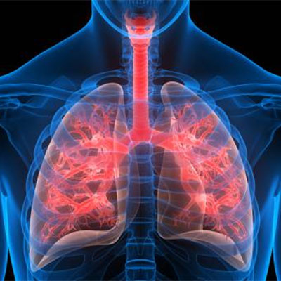 pulmonology